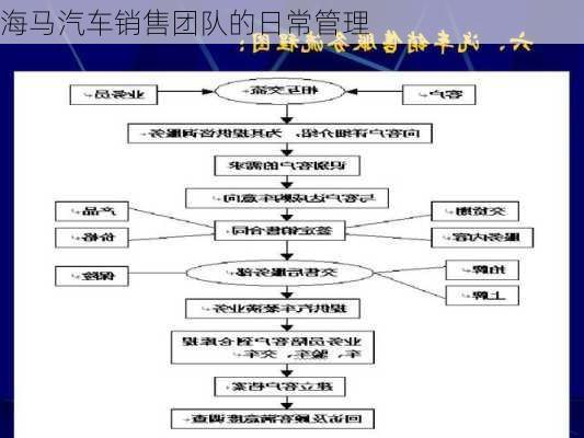海马汽车销售团队的日常管理