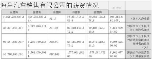 海马汽车销售有限公司的薪资情况