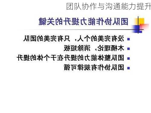 团队协作与沟通能力提升