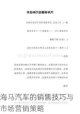 海马汽车的销售技巧与市场营销策略