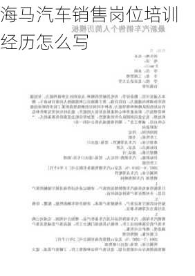 海马汽车销售岗位培训经历怎么写