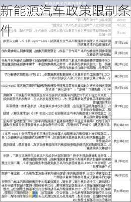 新能源汽车政策限制条件