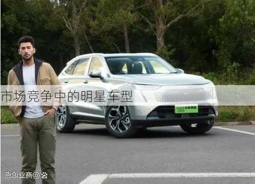 市场竞争中的明星车型