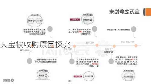 大宝被收购原因探究
