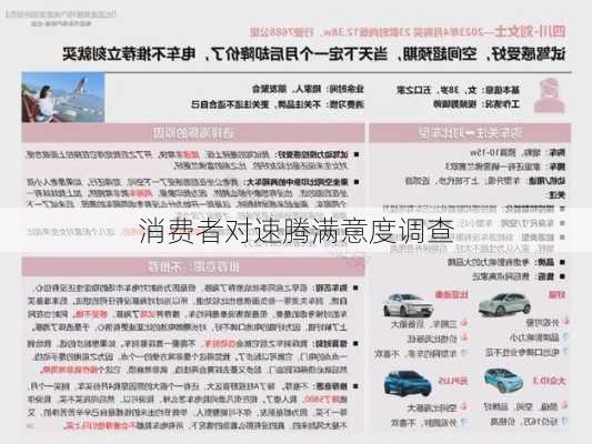 消费者对速腾满意度调查