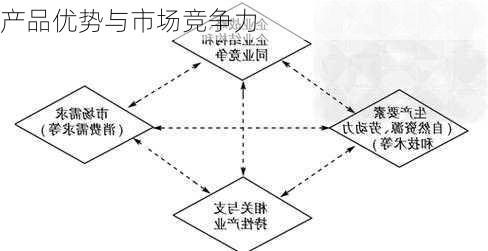 产品优势与市场竞争力