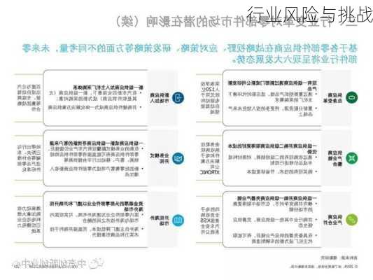 行业风险与挑战