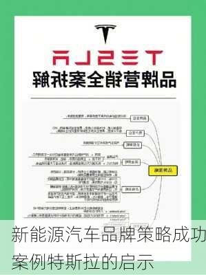新能源汽车品牌策略成功案例特斯拉的启示