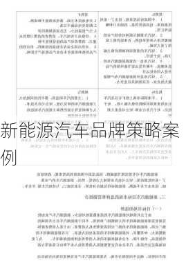 新能源汽车品牌策略案例