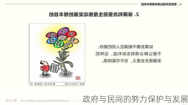 政府与民间的努力保护与发展