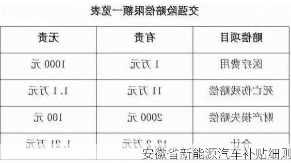 安徽省新能源汽车补贴细则