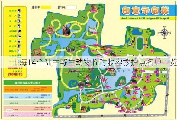 上海14个陆生野生动物临时收容救护点名单一览