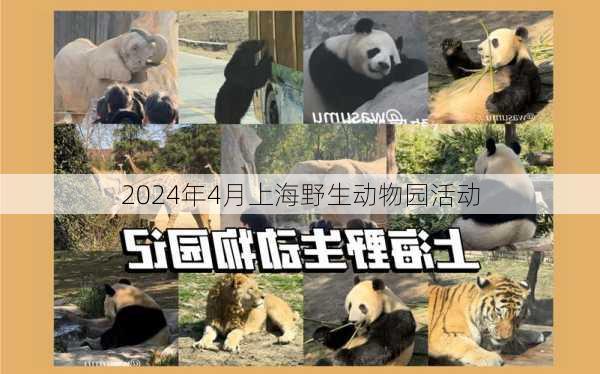 2024年4月上海野生动物园活动