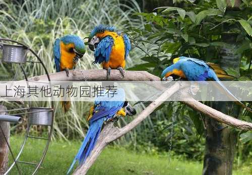 上海其他动物园推荐