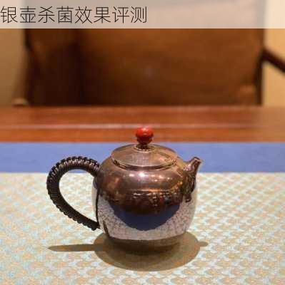 银壶杀菌效果评测
