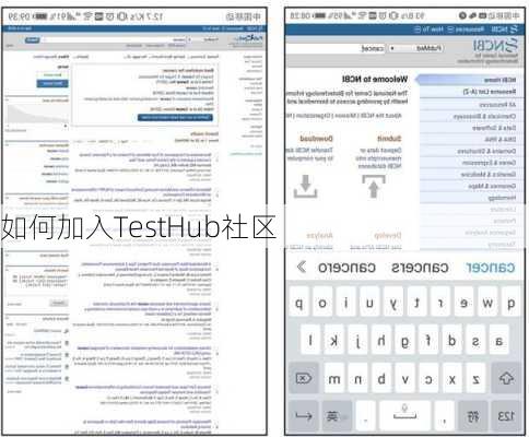 如何加入TestHub社区