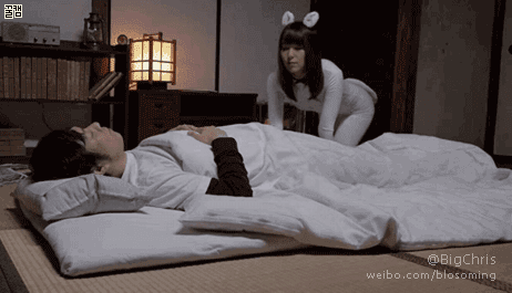 testhub最新动态