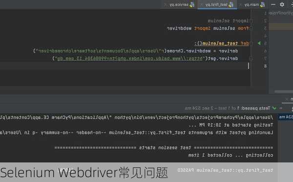Selenium Webdriver常见问题