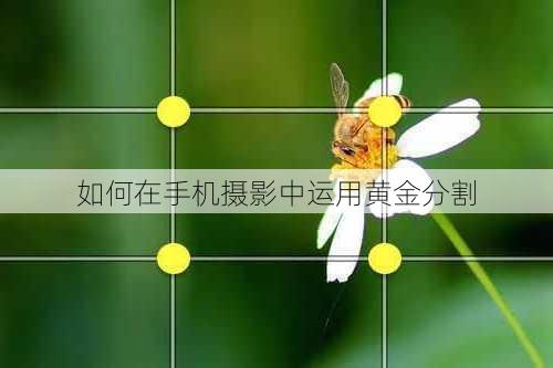 如何在手机摄影中运用黄金分割
