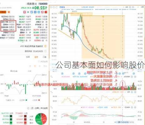 公司基本面如何影响股价