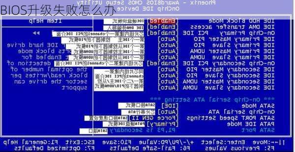 BIOS升级失败怎么办