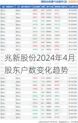 兆新股份2024年4月股东户数变化趋势