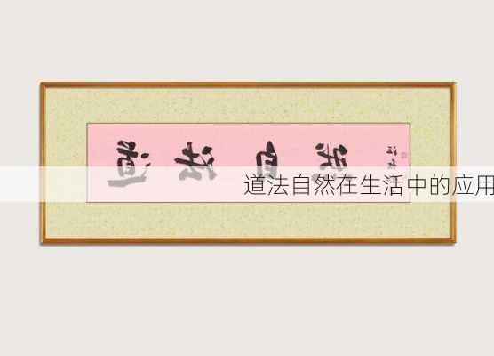 道法自然在生活中的应用