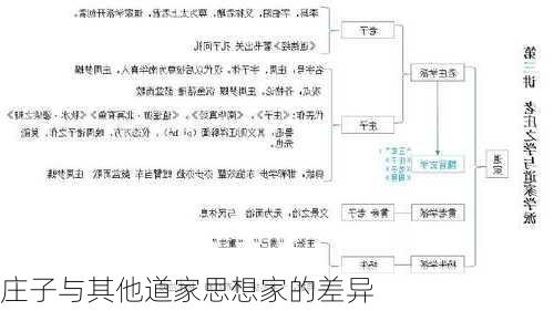 庄子与其他道家思想家的差异