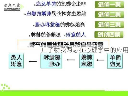 庄子物我两忘在心理学中的应用