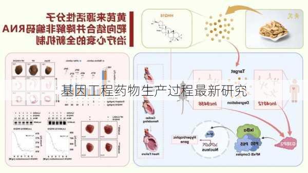 基因工程药物生产过程最新研究