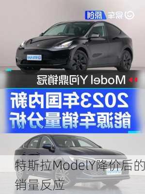 特斯拉ModelY降价后的销量反应