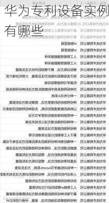 华为专利设备实例有哪些