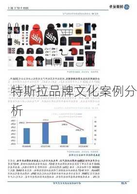 特斯拉品牌文化案例分析