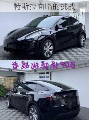 特斯拉面临的挑战