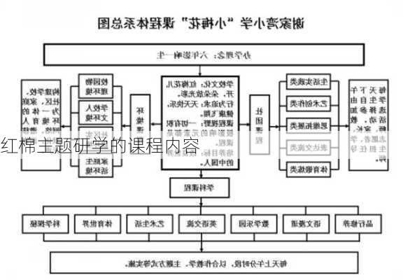 红棉主题研学的课程内容