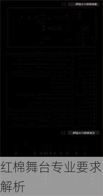 红棉舞台专业要求解析