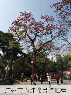 广州市内红棉景点推荐