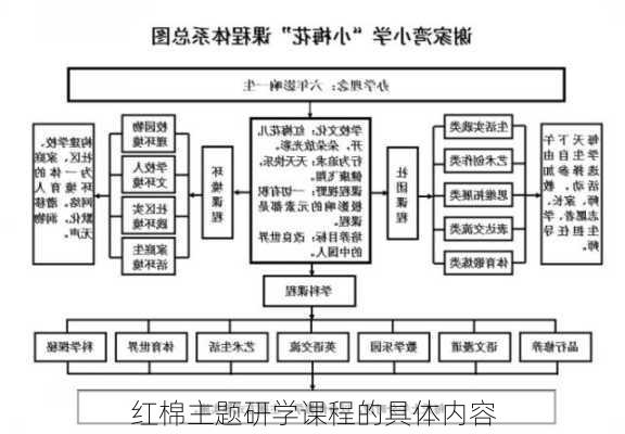 红棉主题研学课程的具体内容