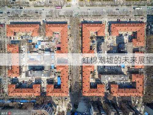 红棉潮墟的未来展望