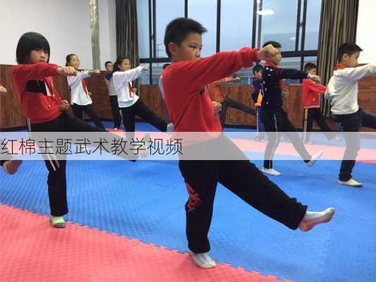 红棉主题武术教学视频