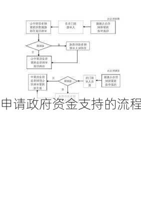 申请政府资金支持的流程
