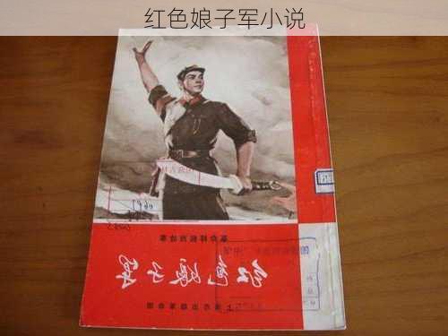 红色娘子军小说