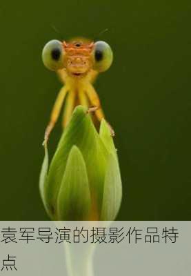 袁军导演的摄影作品特点