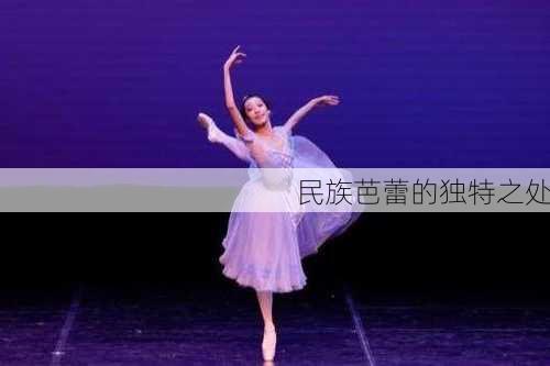 民族芭蕾的独特之处