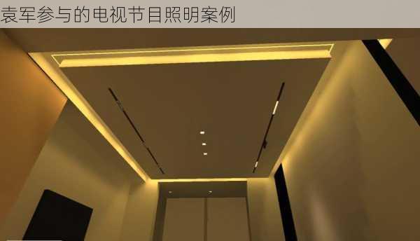 袁军参与的电视节目照明案例