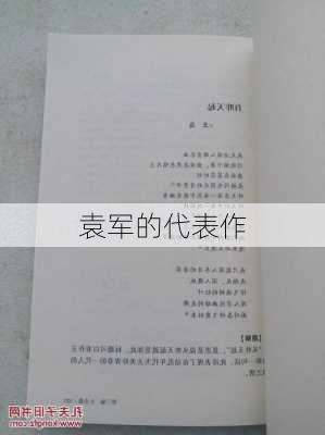 袁军的代表作