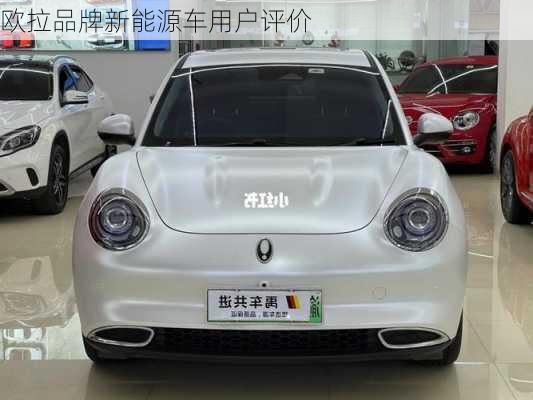欧拉品牌新能源车用户评价
