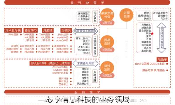 芯享信息科技的业务领域
