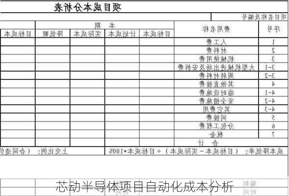 芯动半导体项目自动化成本分析