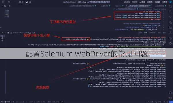 配置Selenium WebDriver的常见问题